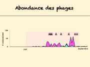 Diapositive48