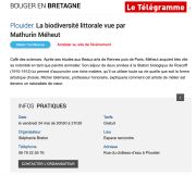 AVtelegPlouider2019