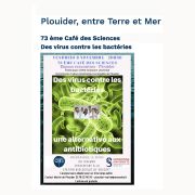 AVplouider2019